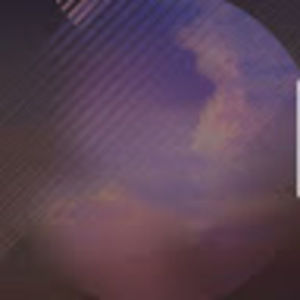 Meet your Posher, Niko